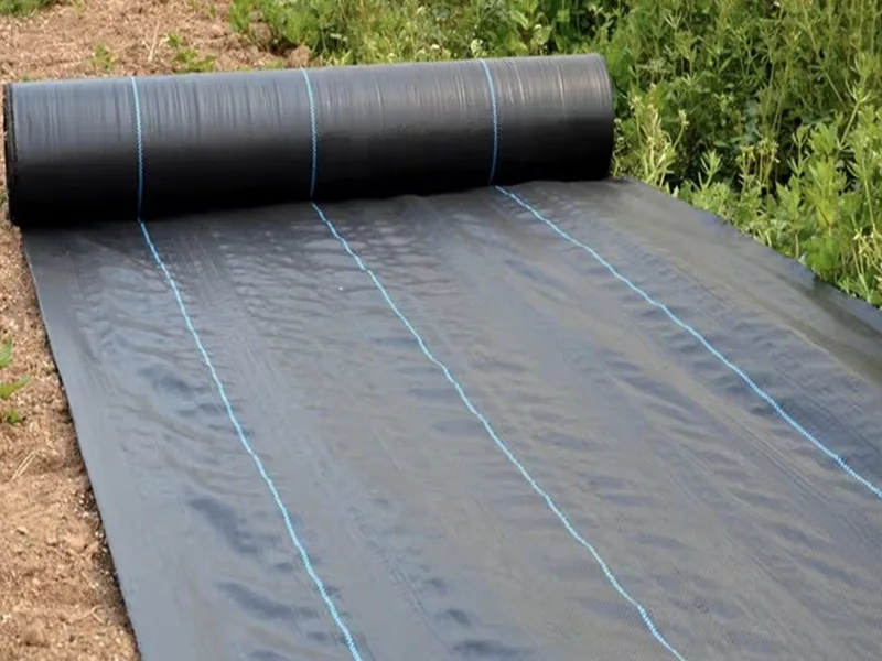 تطلق Tongfu Eco-Materials نسيج حاجز الأعشاب عالي الأداء والقابل للتحلل الحيوي