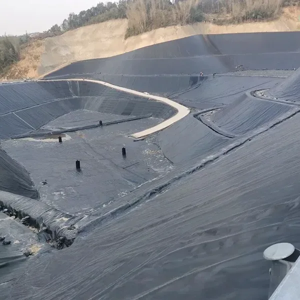 بطانة الغشاء الأرضي