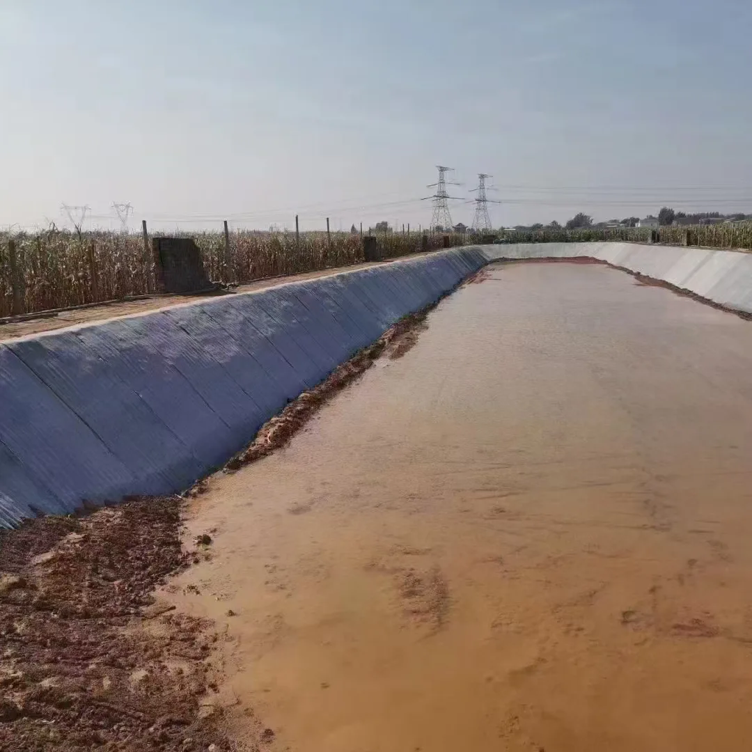 بطانية خرسانية لبركة السمك