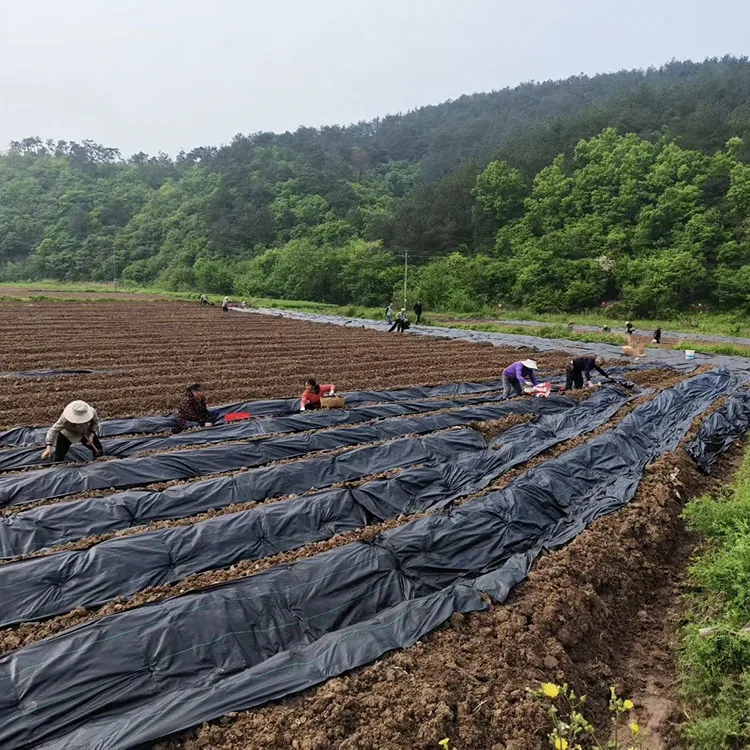 PE Woven Weed Barrier Fabric