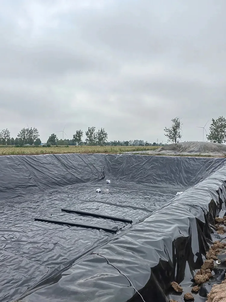 Fish Pond Geomembrane Liner